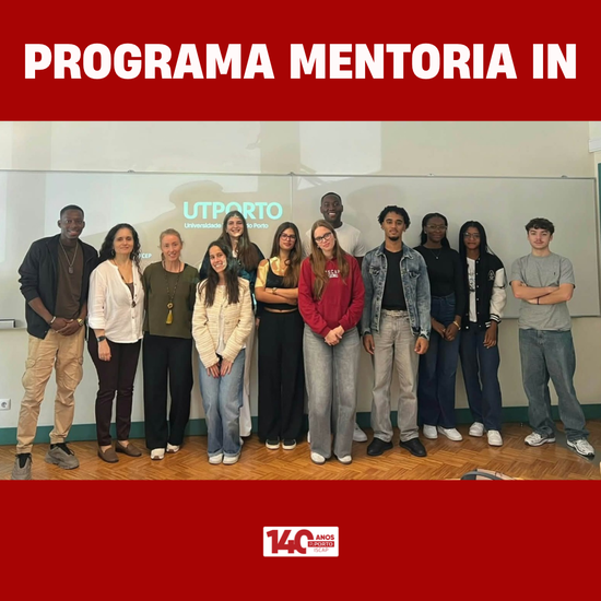 Programa de Mentoria IN